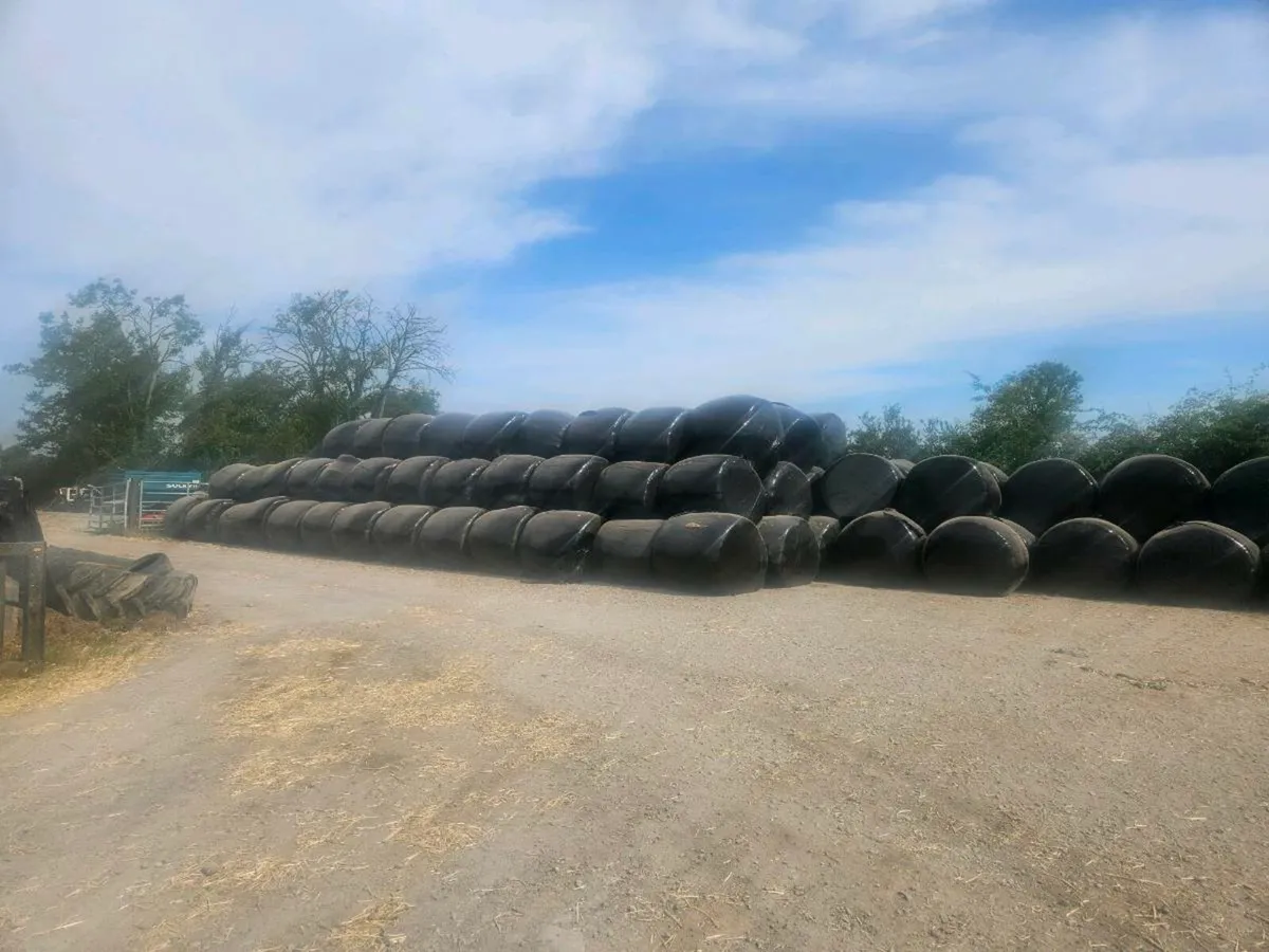 Bales pf silage - Image 4