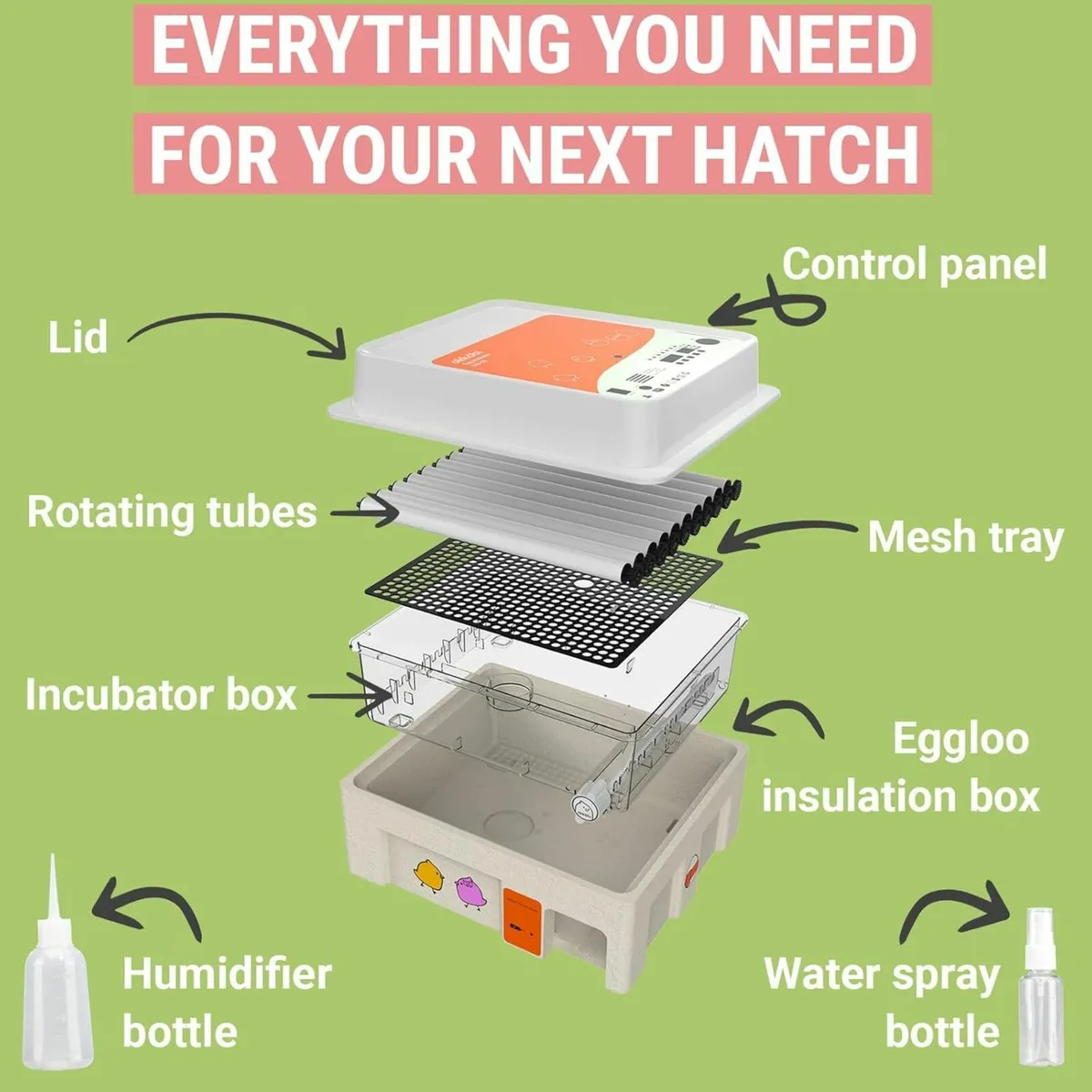 Egg Incubator Automatic EGGCELERATOR - Image 4