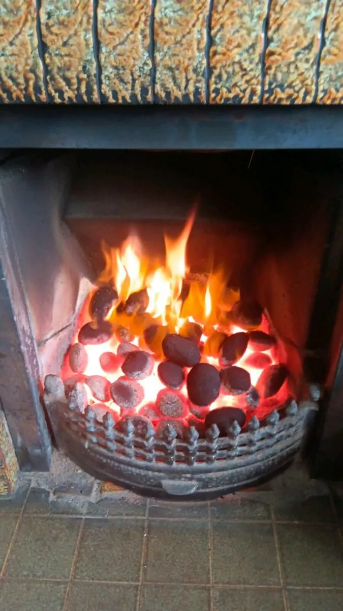 Great Price Coal - Image 2