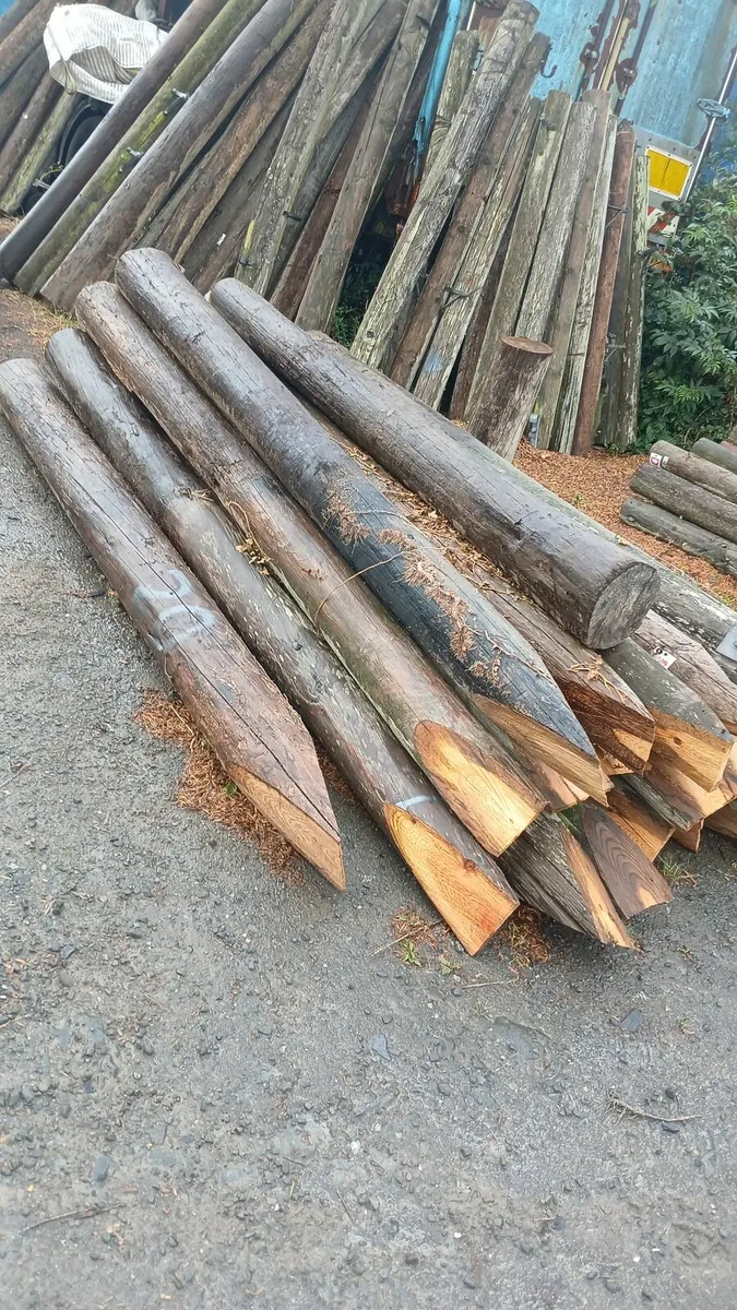 Poles strainer posts - Image 2