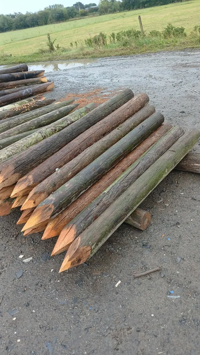 Poles strainer posts - Image 1