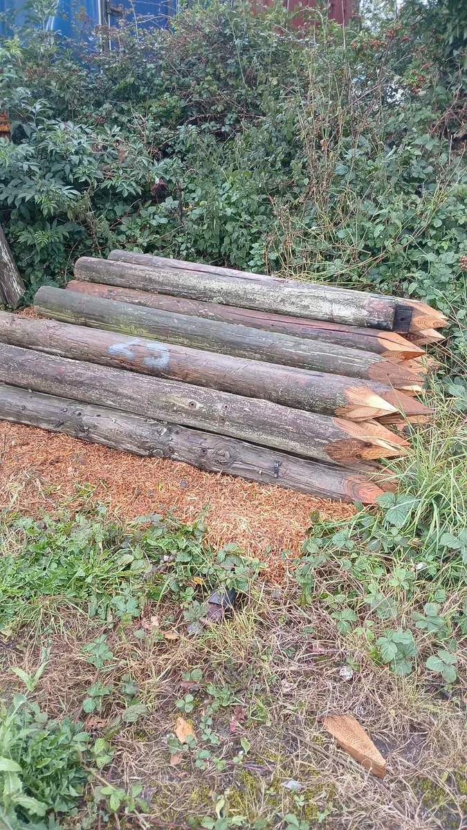 Poles strainer posts - Image 3