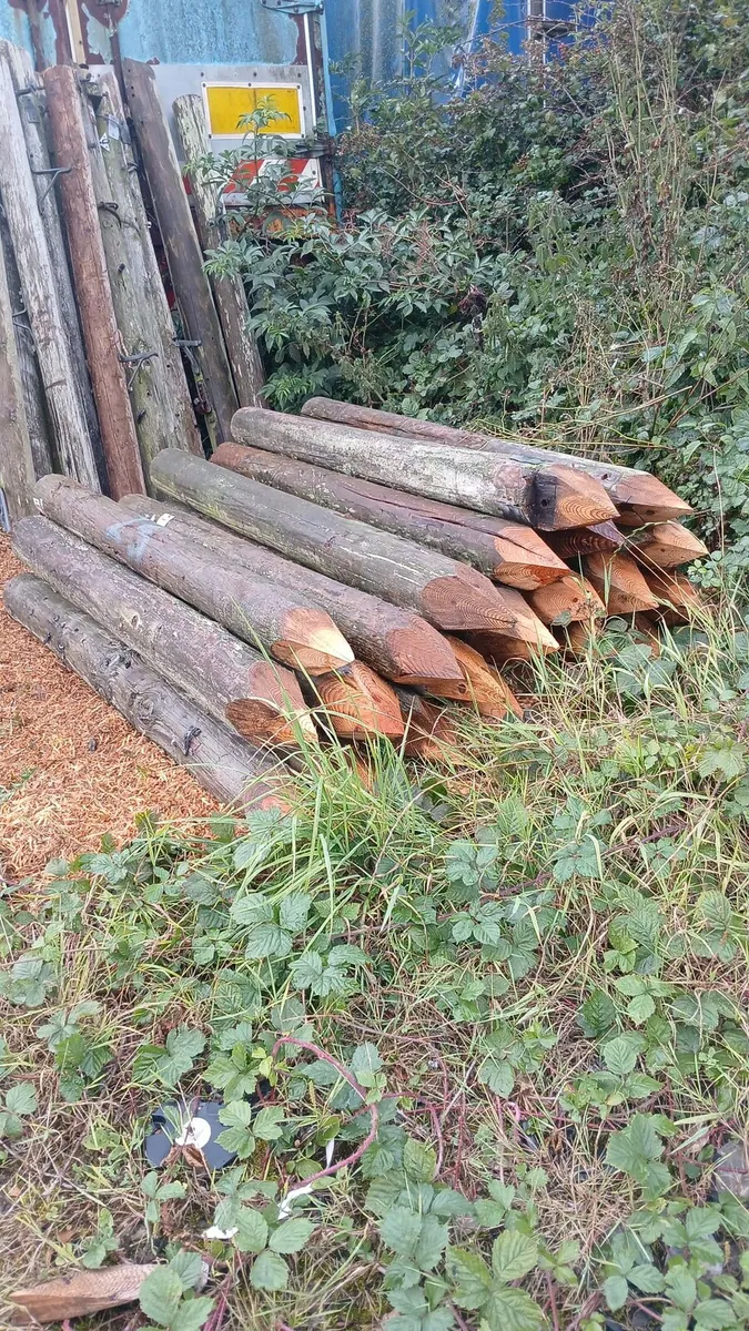 Poles strainer posts - Image 4