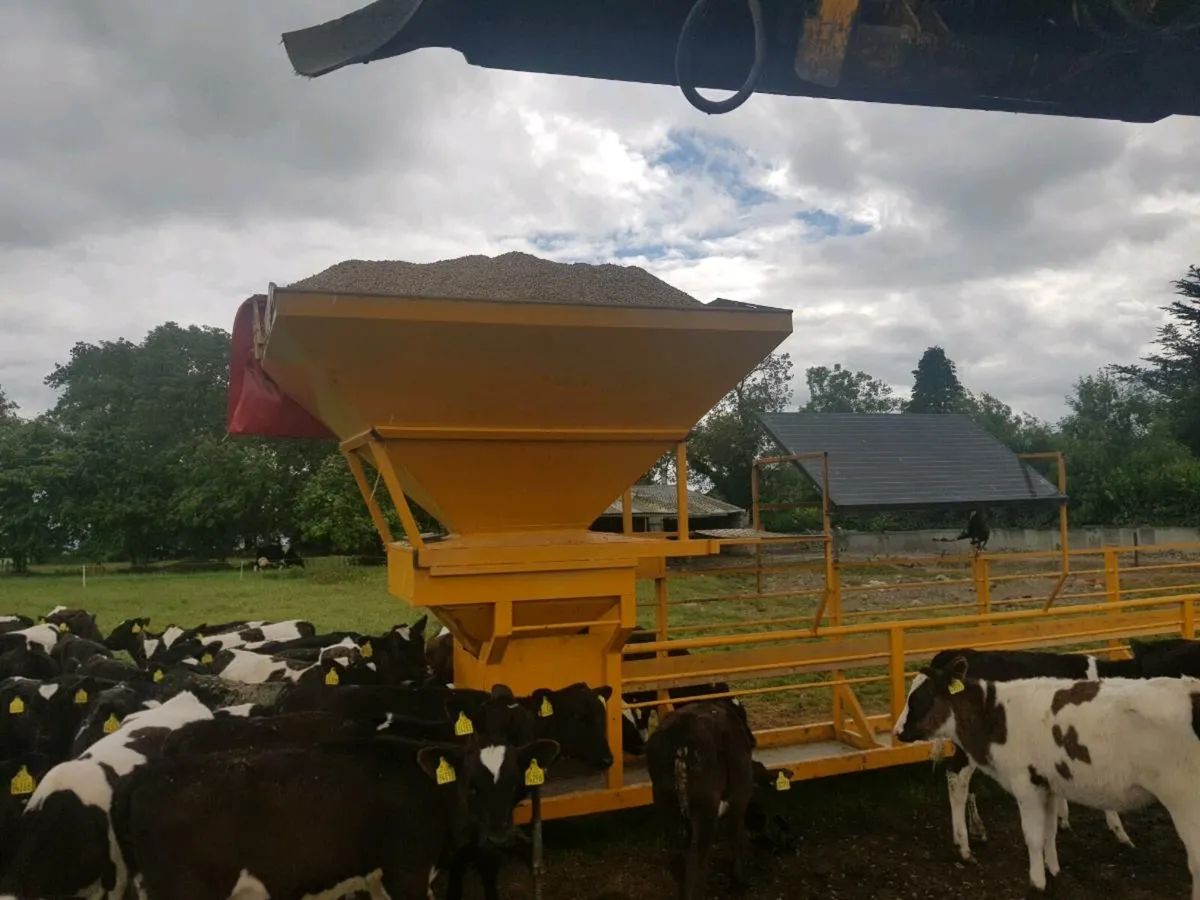 Solar powered meal sCattle feeder - Image 3