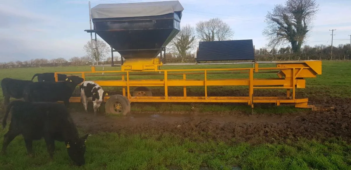 Solar powered meal sCattle feeder - Image 4