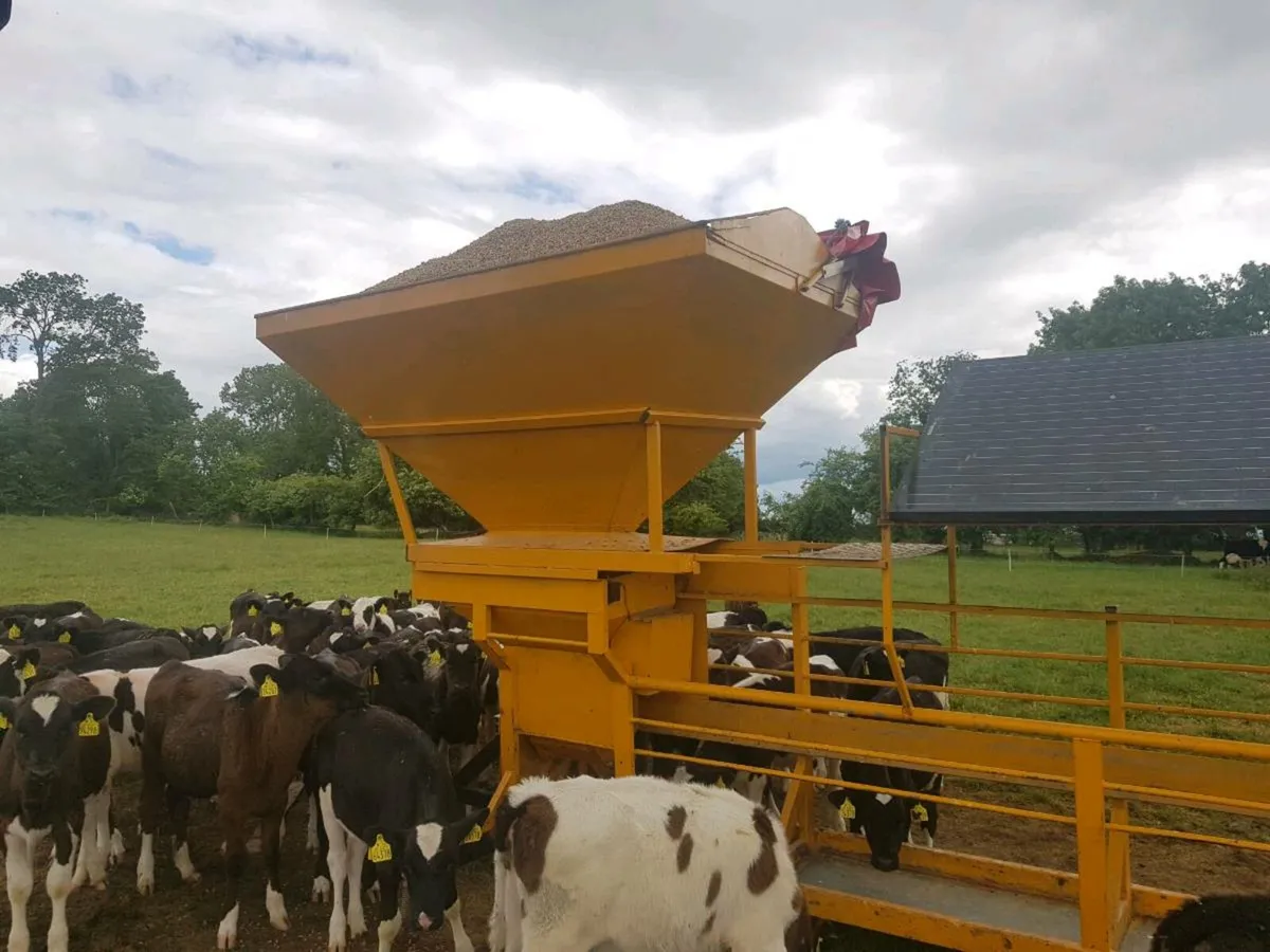 Solar powered meal sCattle feeder - Image 1
