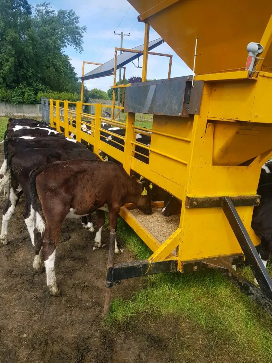 Solar powered meal sCattle feeder - Image 2
