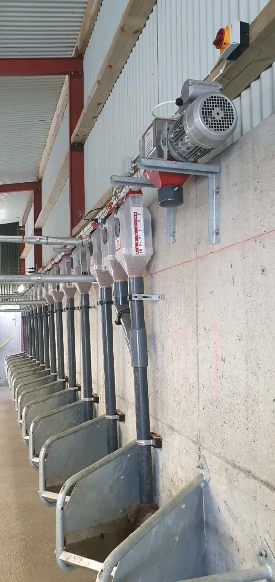 Batch Feed System & Stainless Trough - Image 4