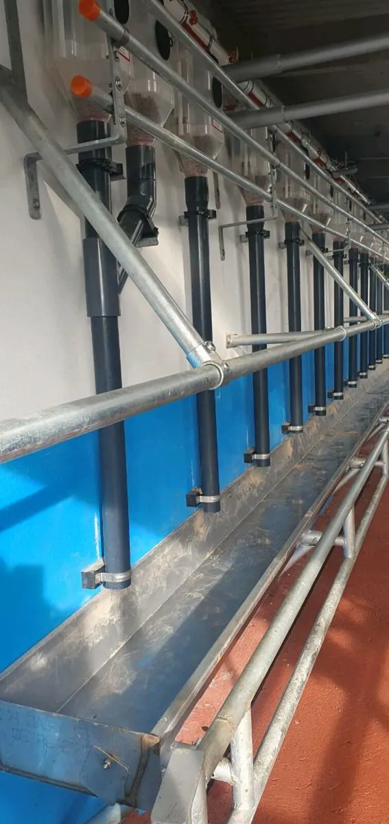 Batch Feed System & Stainless Trough - Image 1