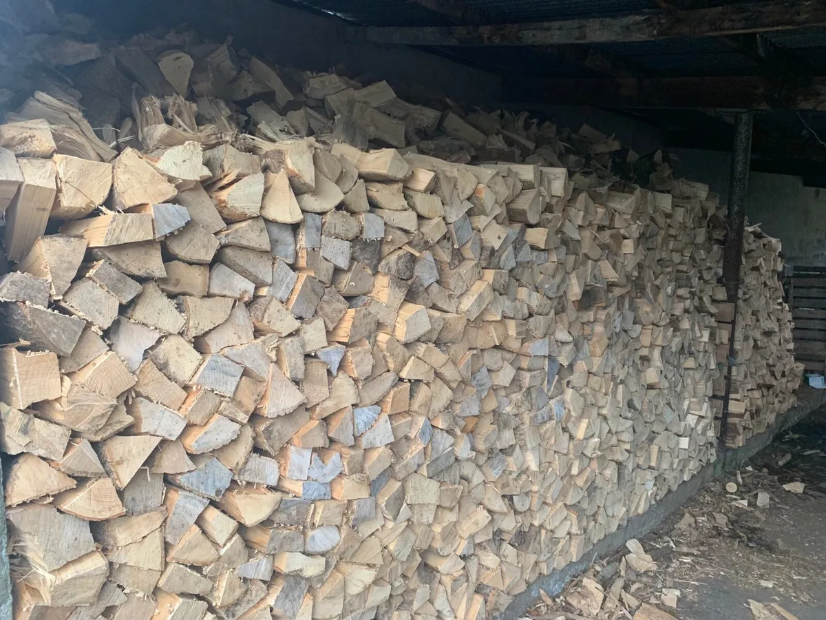 Seasoned Ash Firewood - Image 1