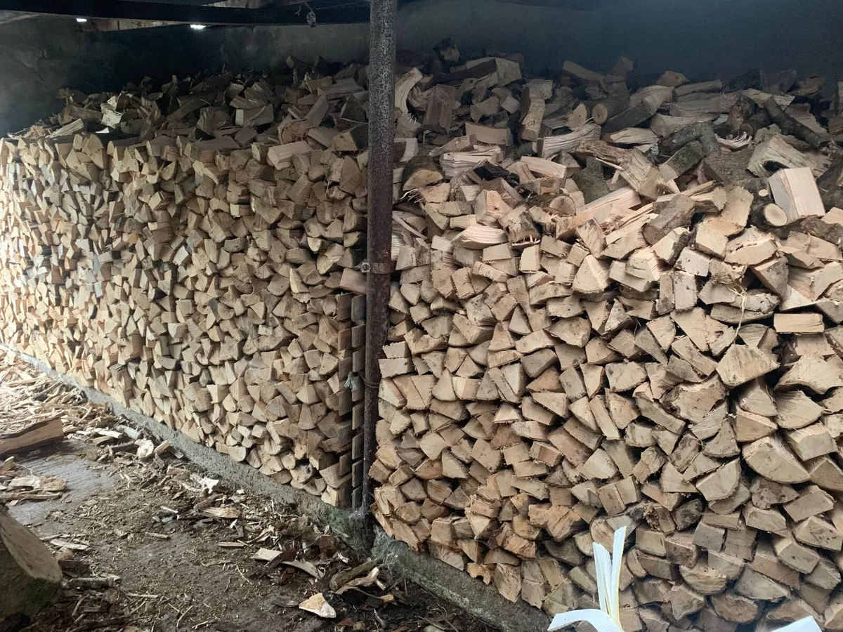 Seasoned Ash Firewood - Image 2