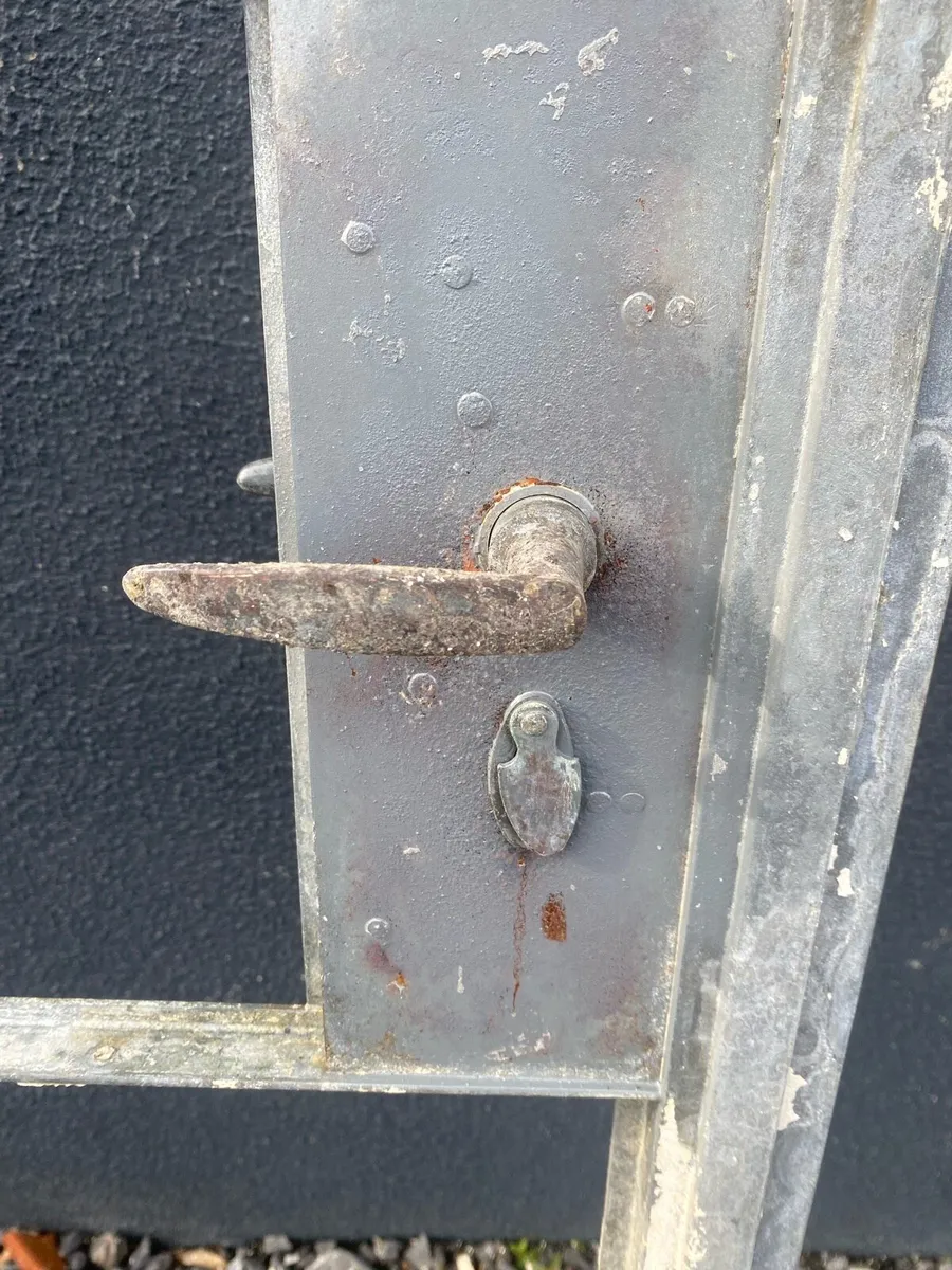 Reclaimed Critall door - Image 3