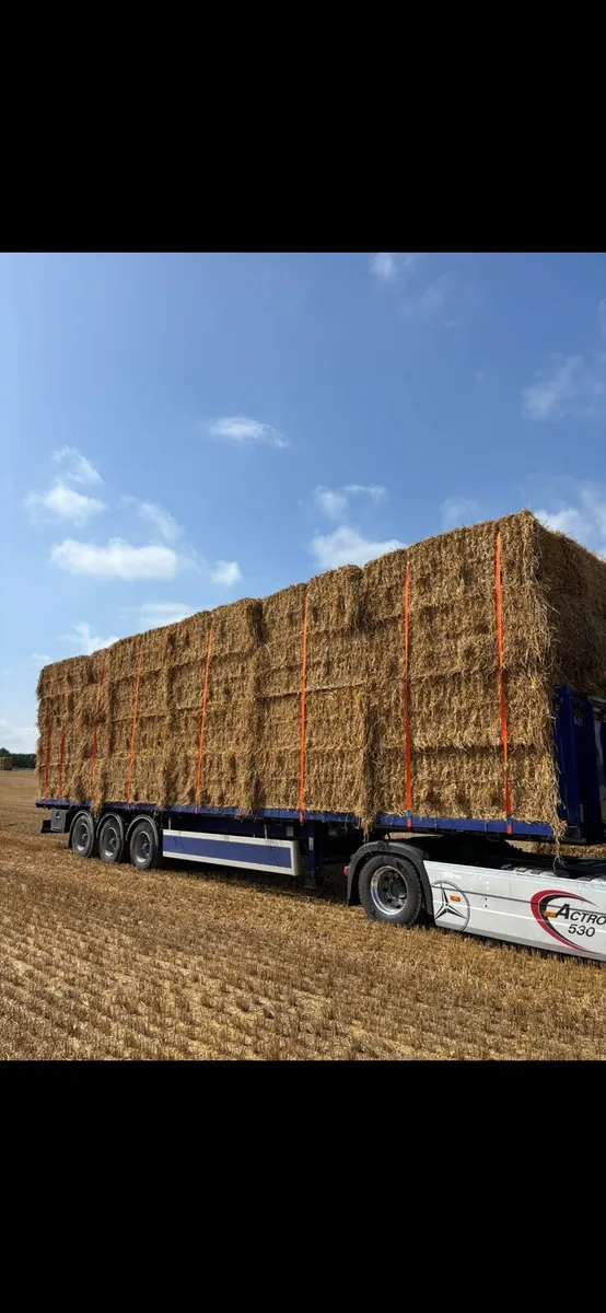 Spring straw, shed stored - Image 1