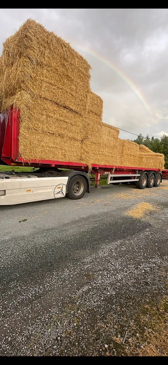 Spring straw, shed stored - Image 4