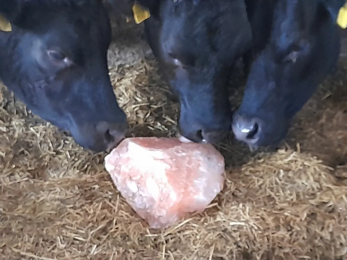 Himalayan Rock Salt - Image 1