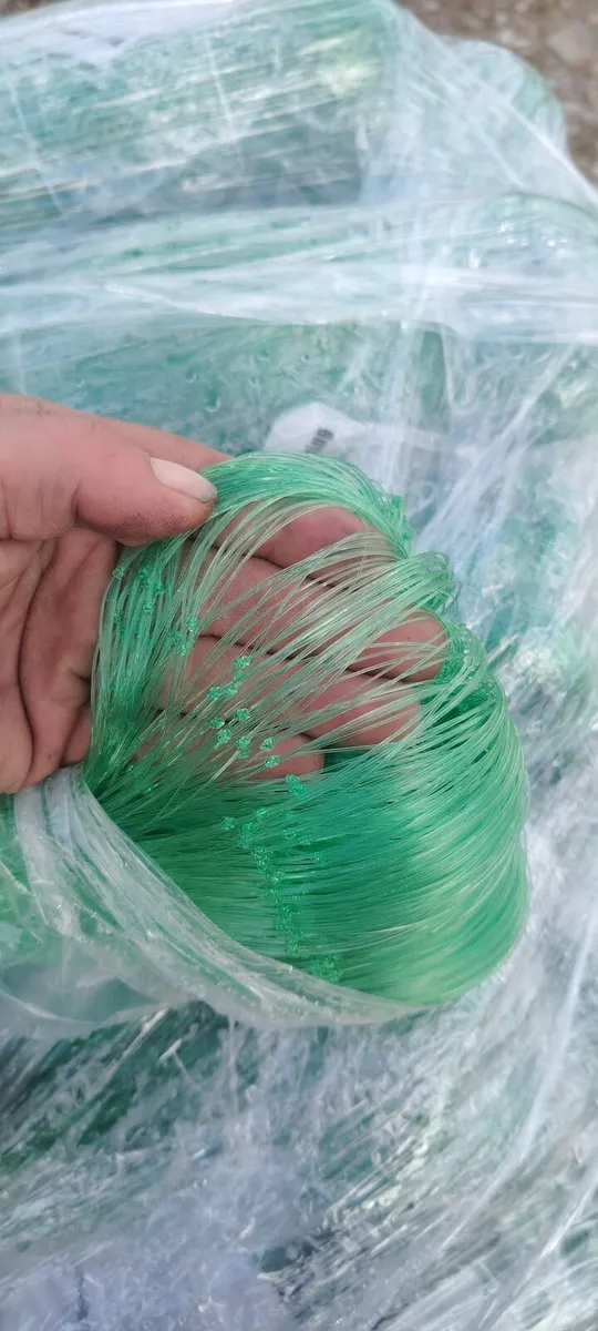 Turbot/ cray sheets - Image 3