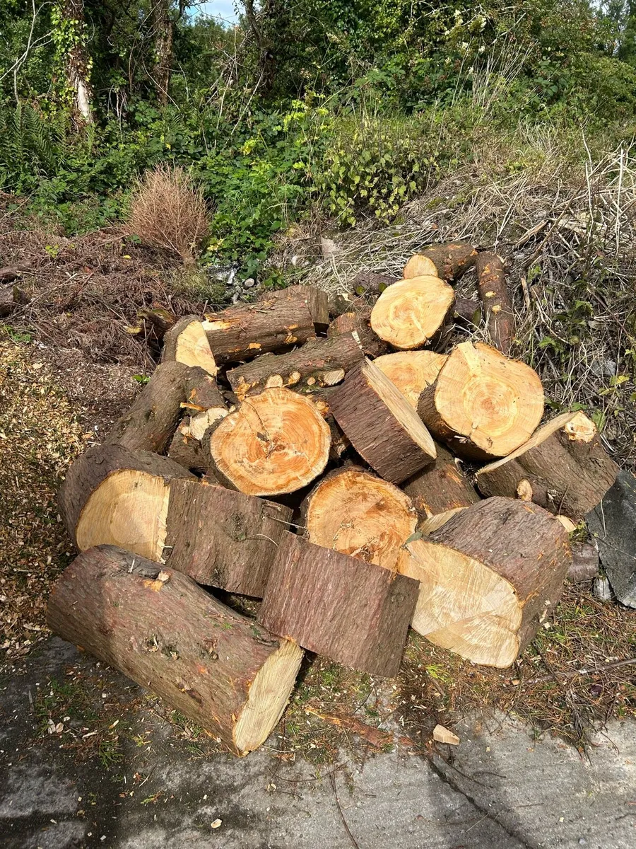 Softwood firewood logs for sale - Image 1