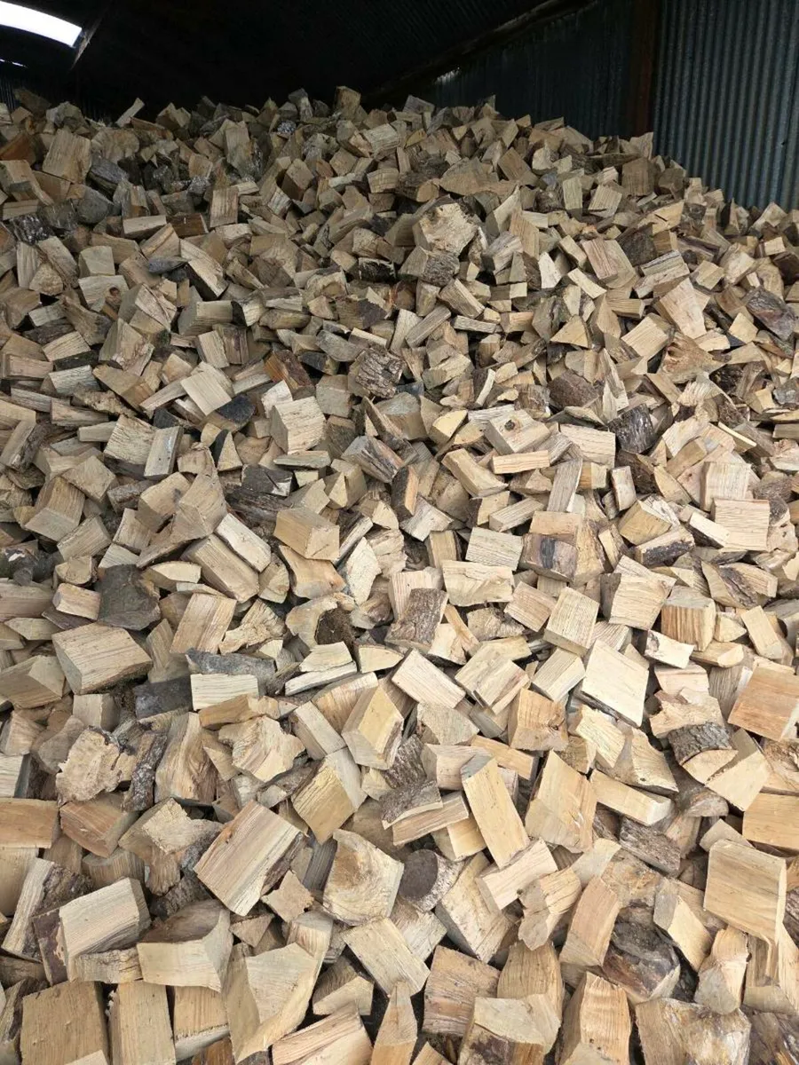 Seasoned Ash Firewood - Hardwood - Image 1