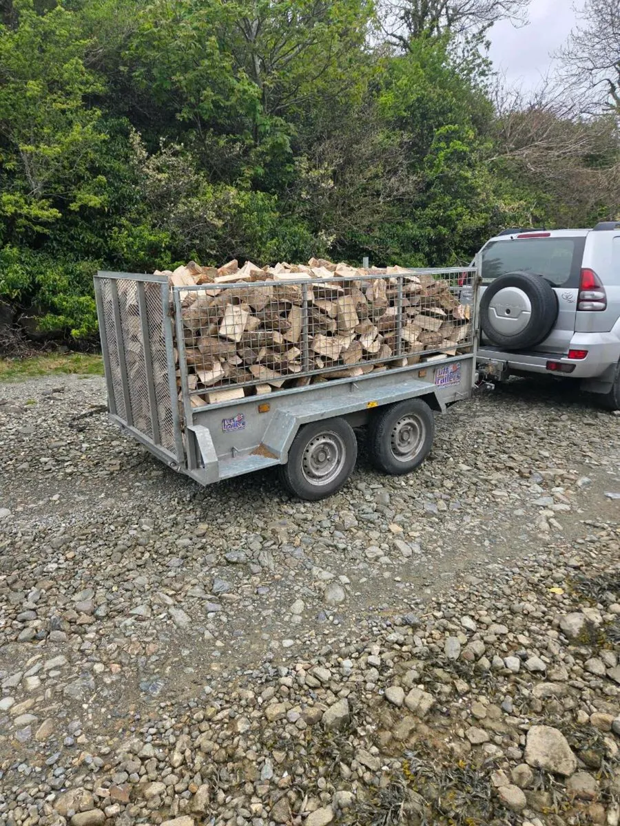 Seasoned Ash Firewood - Hardwood - Image 2