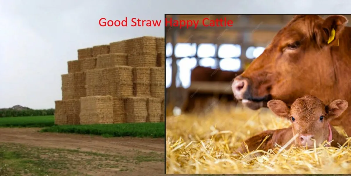 Straw