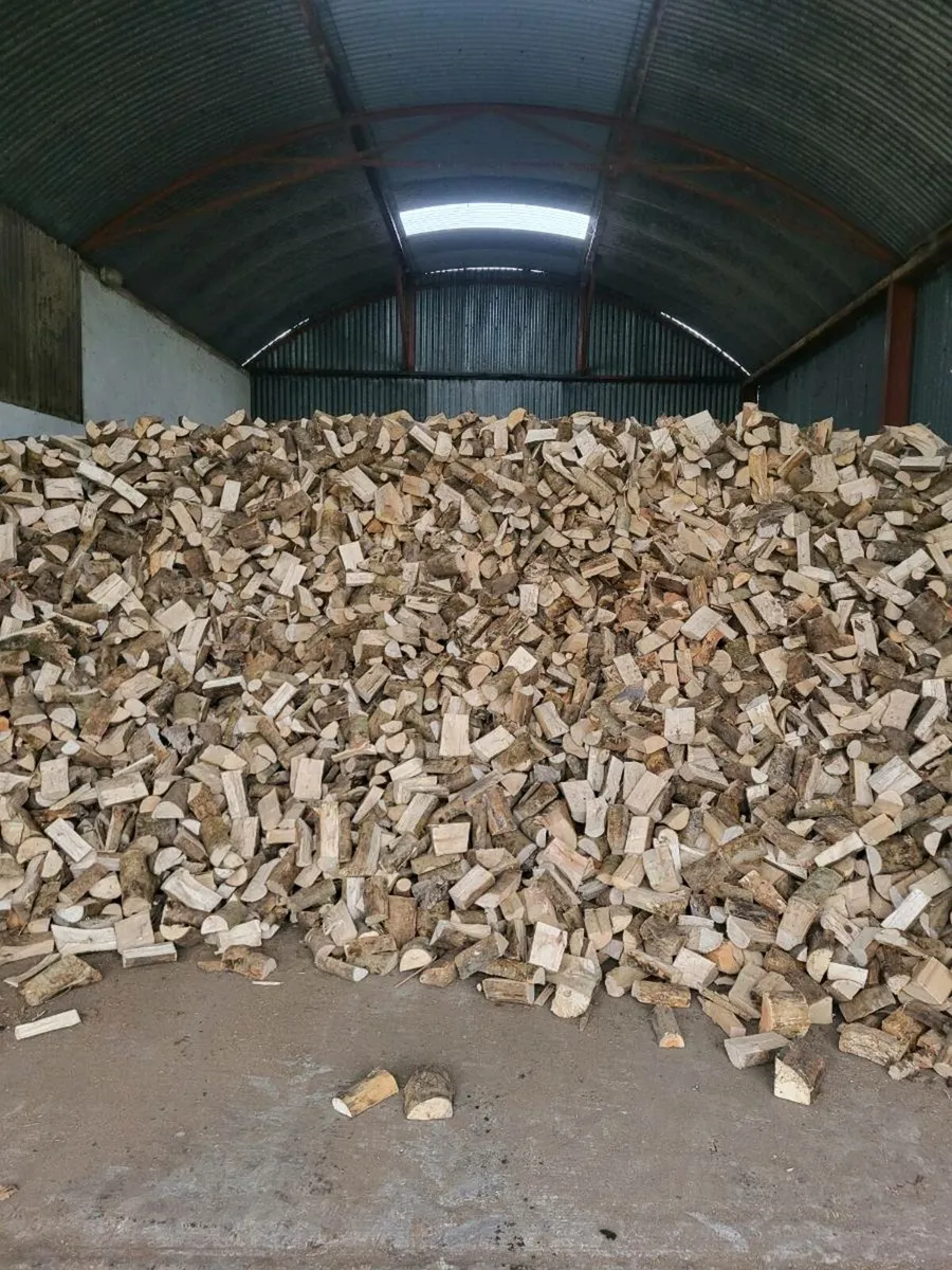 Seasoned Ash Firewood - Hardwood - Image 4