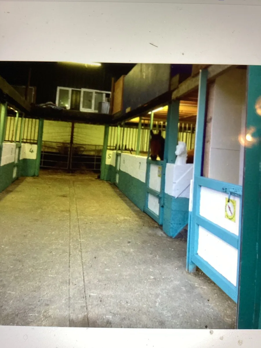 Livery Available - Image 1