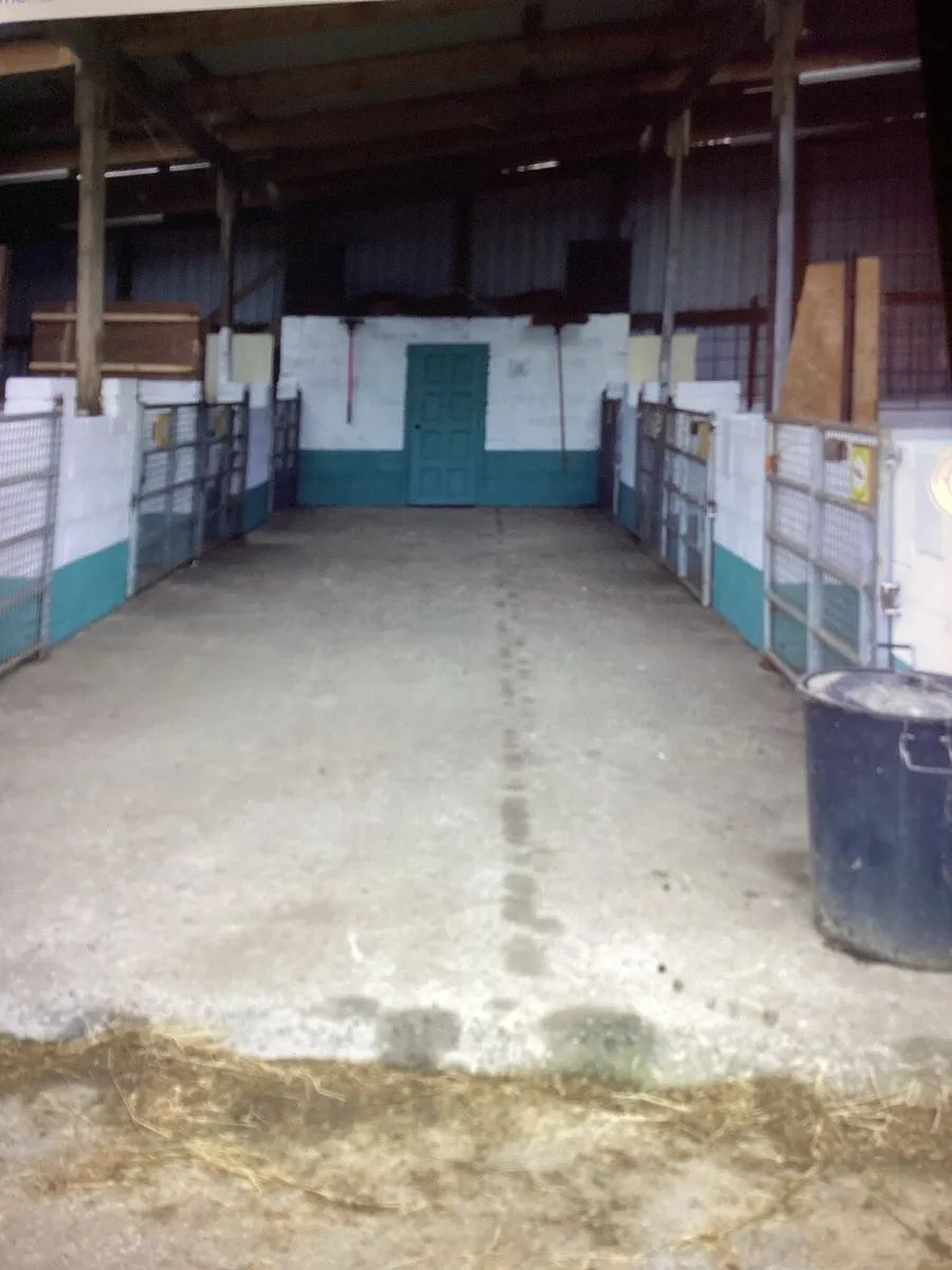 Livery Available - Image 4