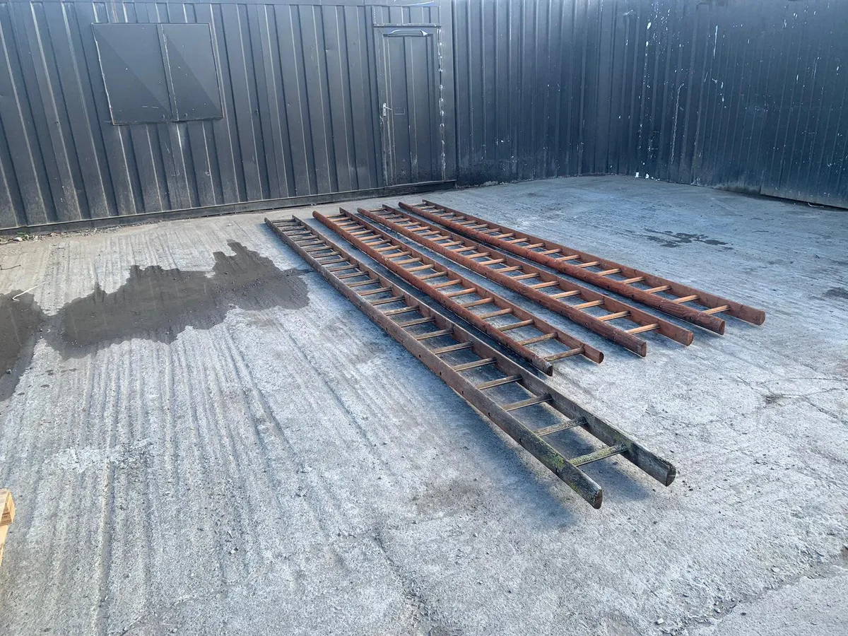 Selection of heavy-duty ladders - Image 2