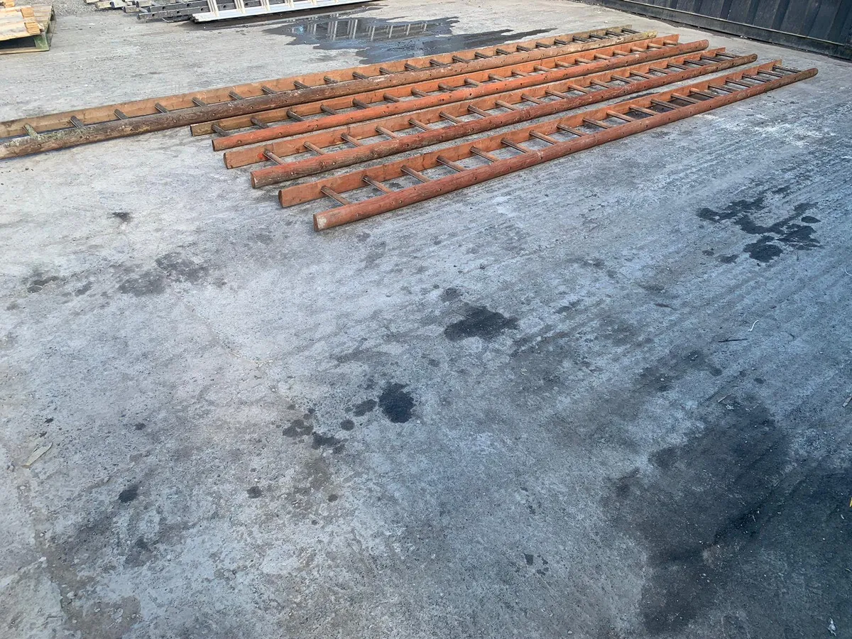 Selection of heavy-duty ladders - Image 3