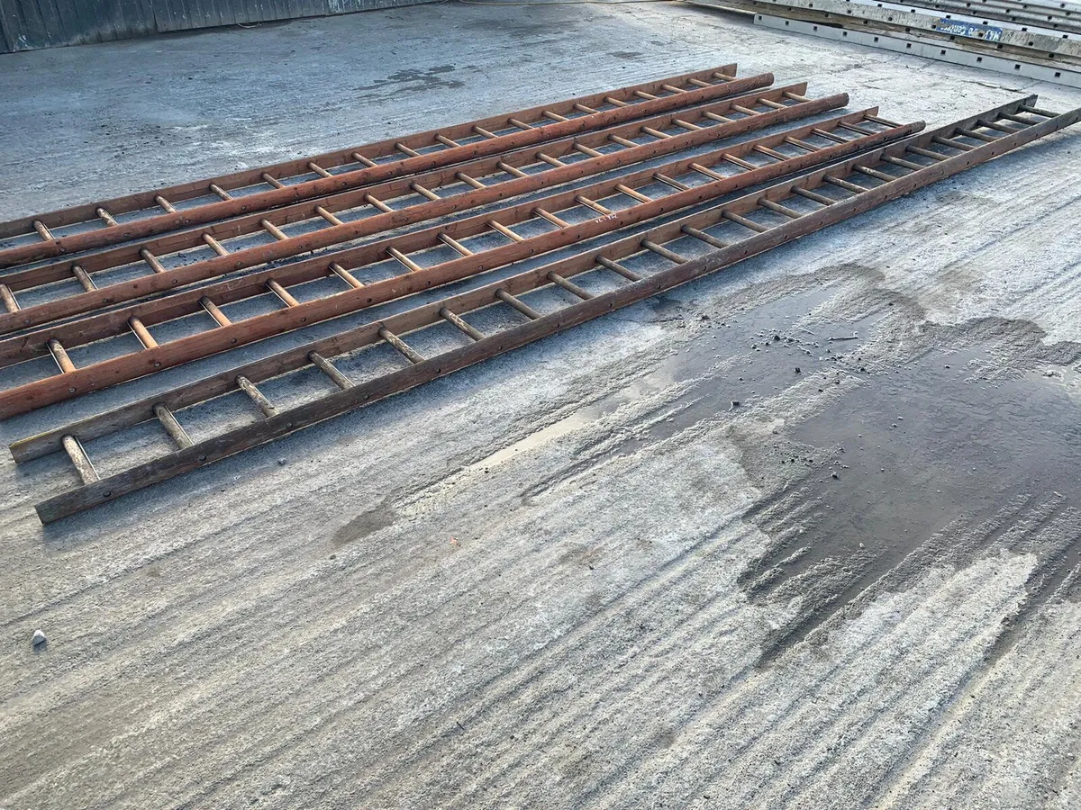 Selection of heavy-duty ladders - Image 4