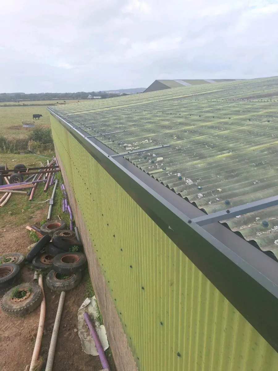 Shed erecting, fabricating and repairs - Image 4