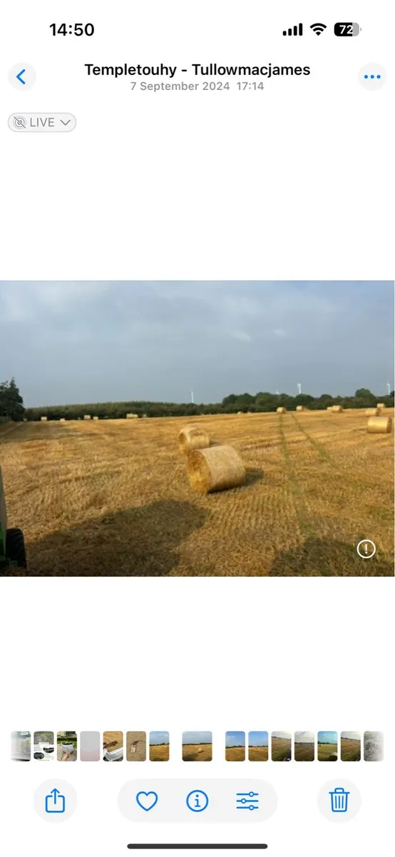 4 x 4 bales of wheaten straw