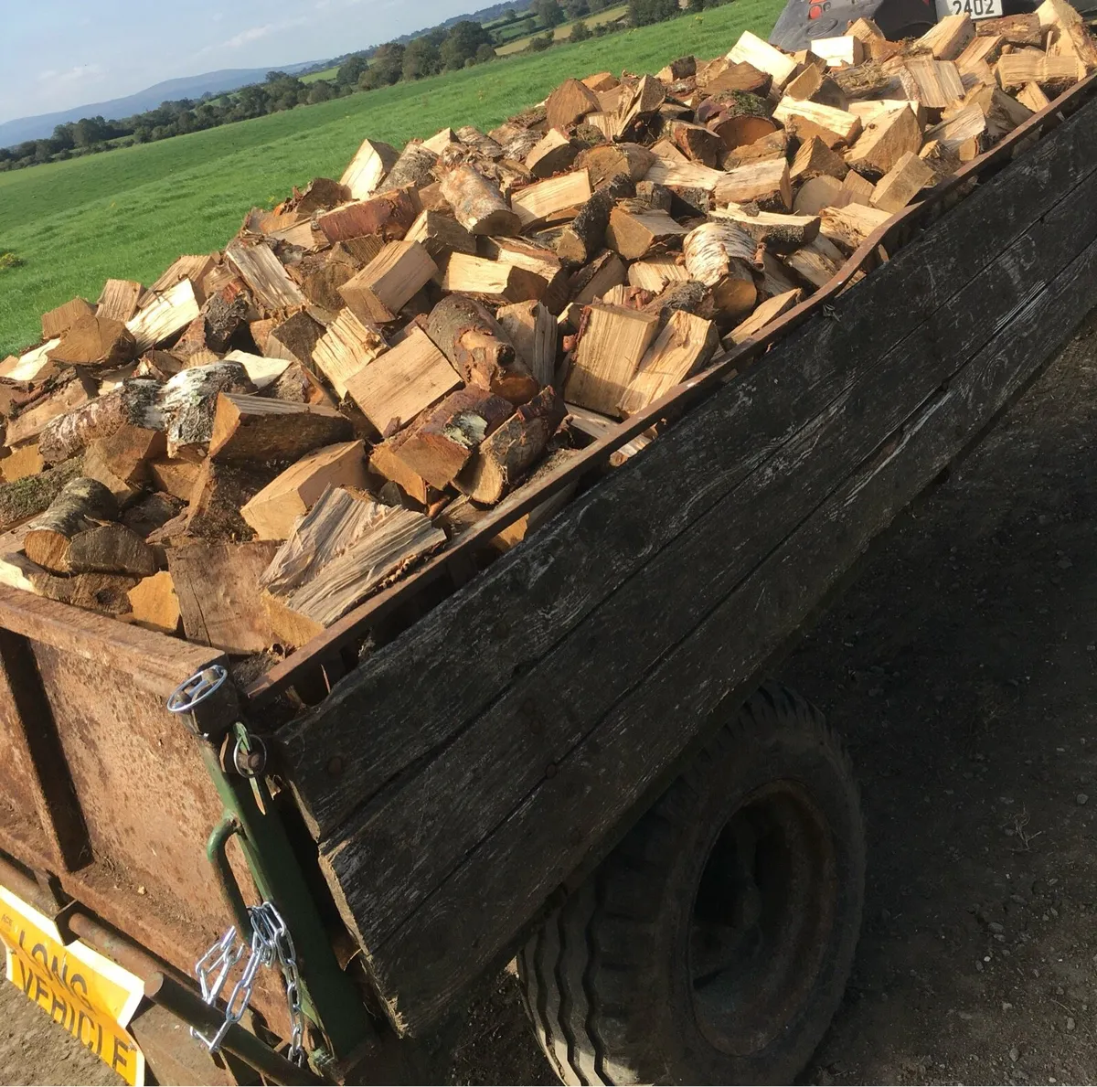 Hardwood Firewood - Image 2