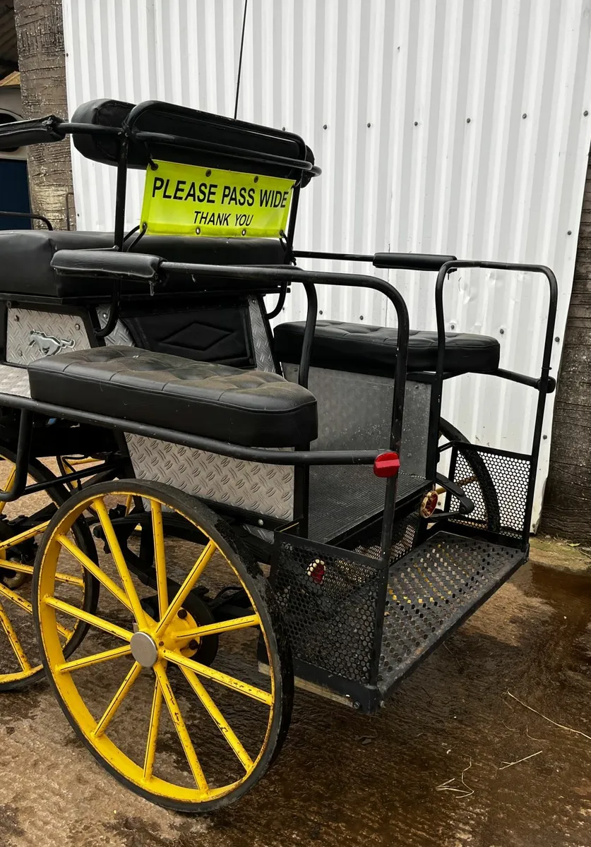 4 Wheel Cart Carriage - Image 3
