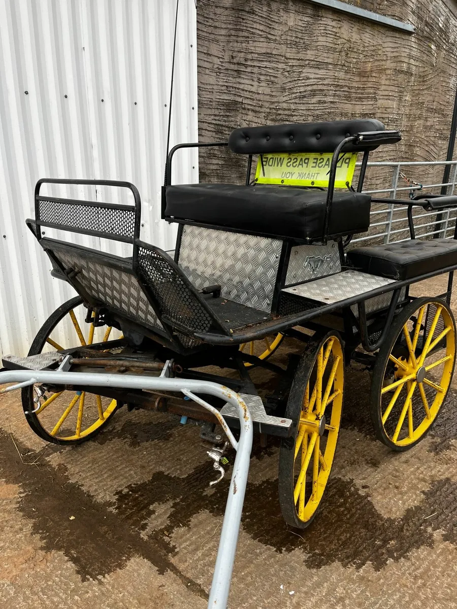 4 Wheel Cart Carriage - Image 4