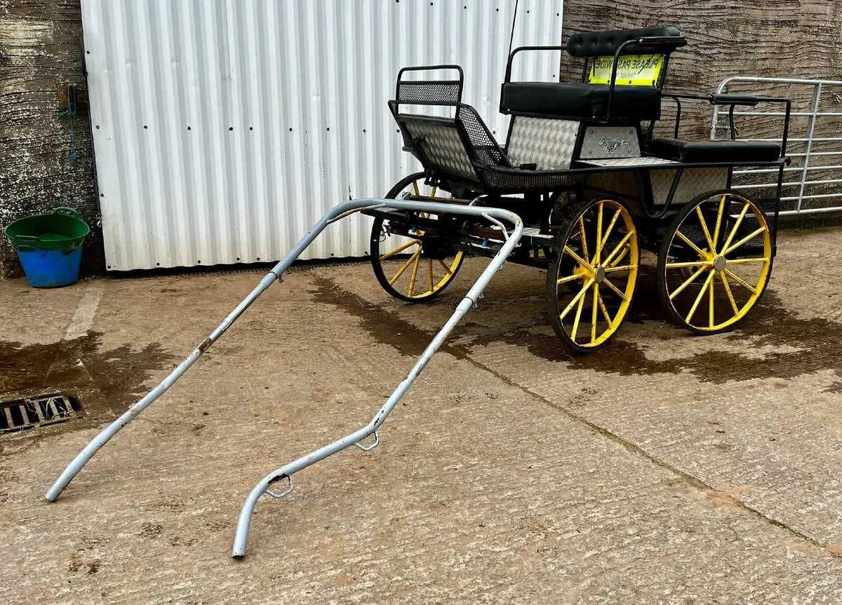 4 Wheel Cart Carriage - Image 2