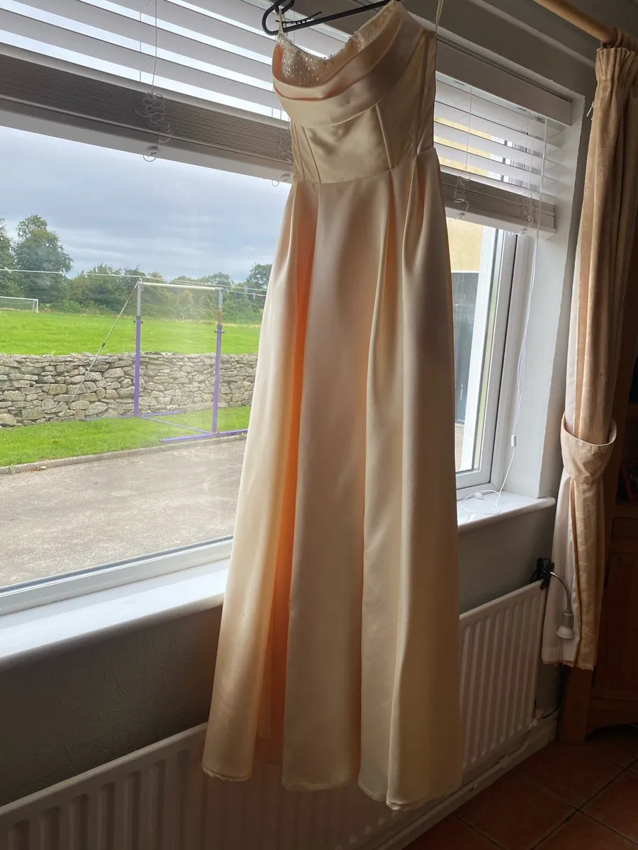 Studio Minc Debs Dress 10-12 - Image 4