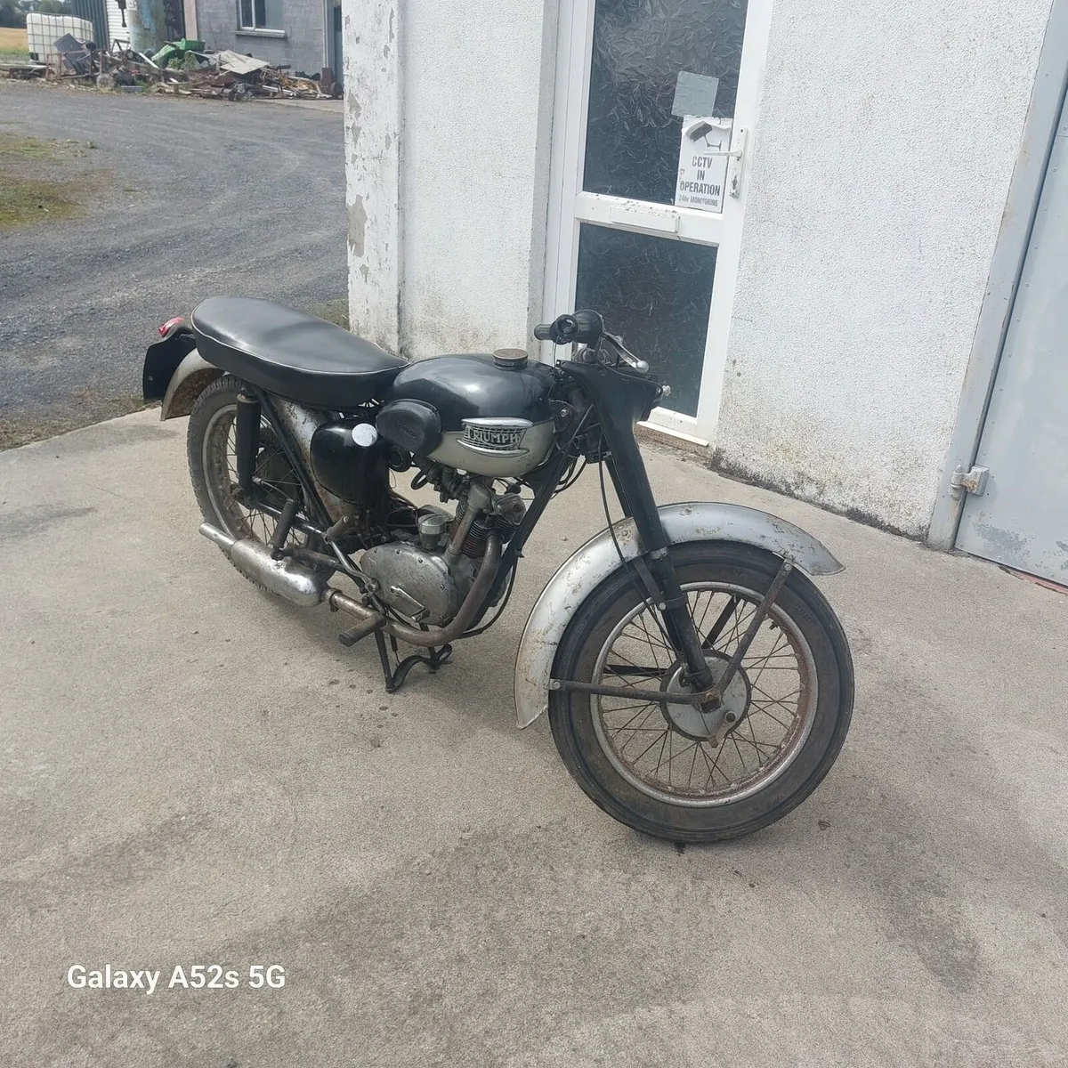 Triumph tiger cub - Image 1