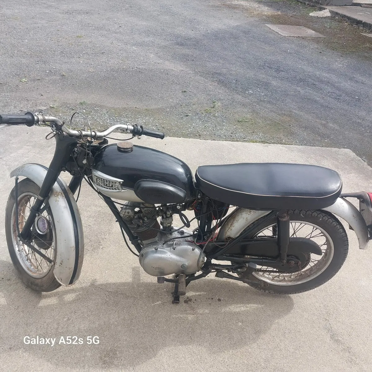 Triumph tiger cub - Image 2