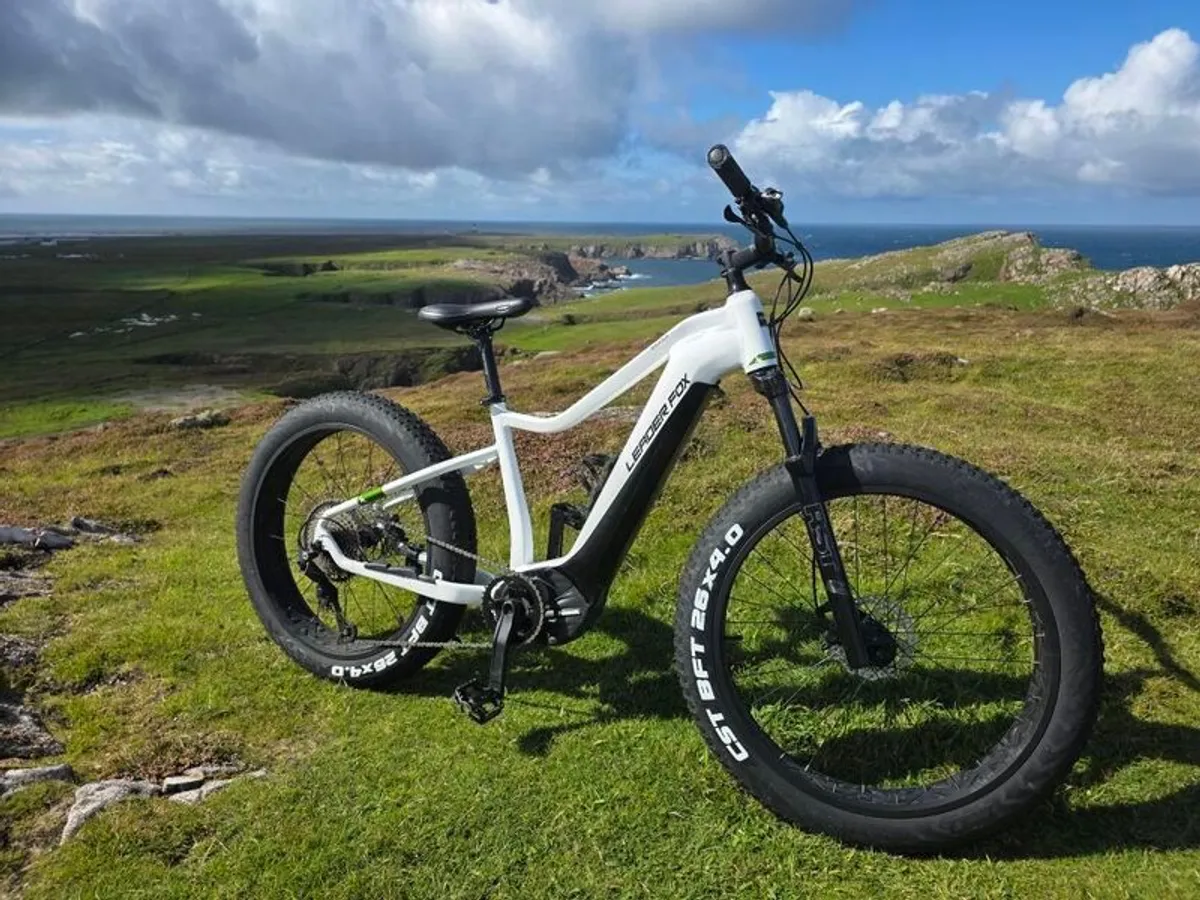 leaderfox braga electric fatbike - Image 1