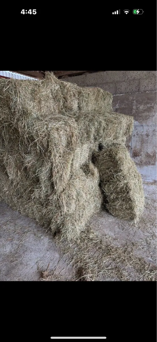 Small square straw&hay bales - Image 4