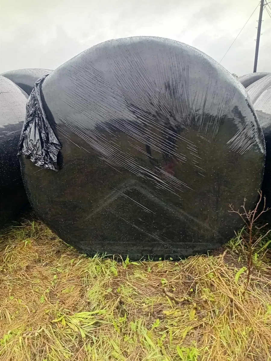 Silage Bales-  Baled 20/08/25 - Image 2