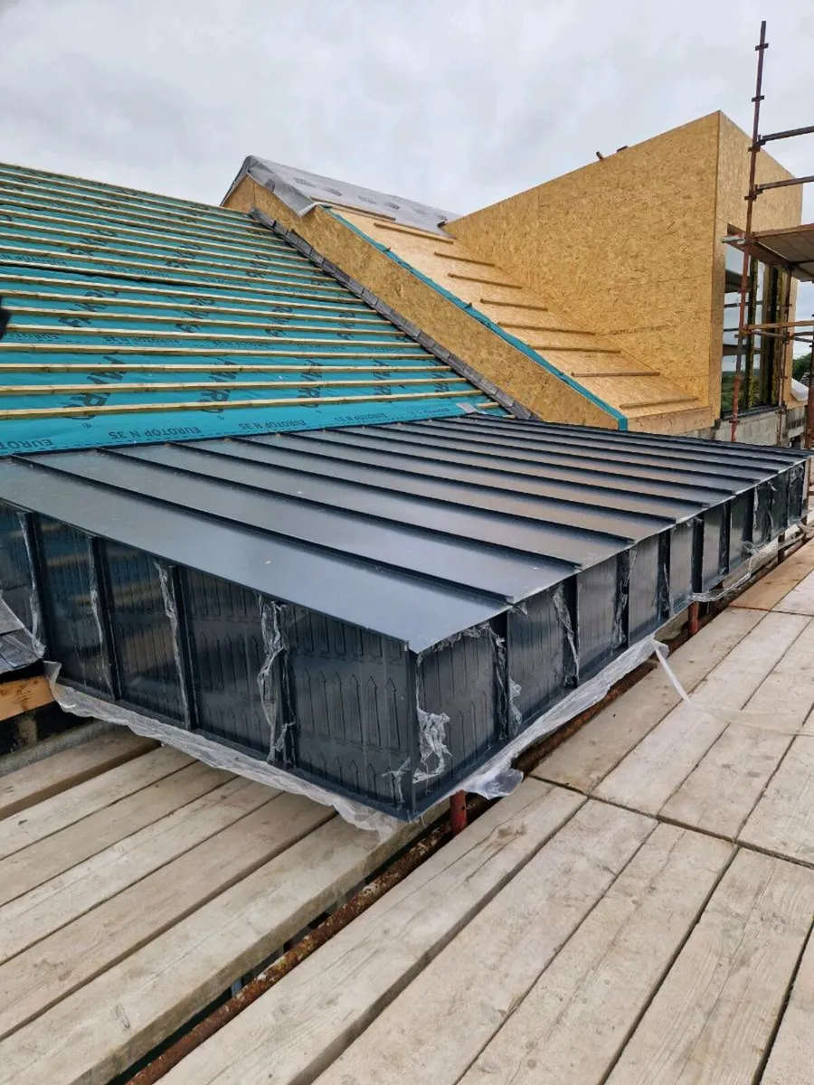 Roofing & Maintenance - Image 2