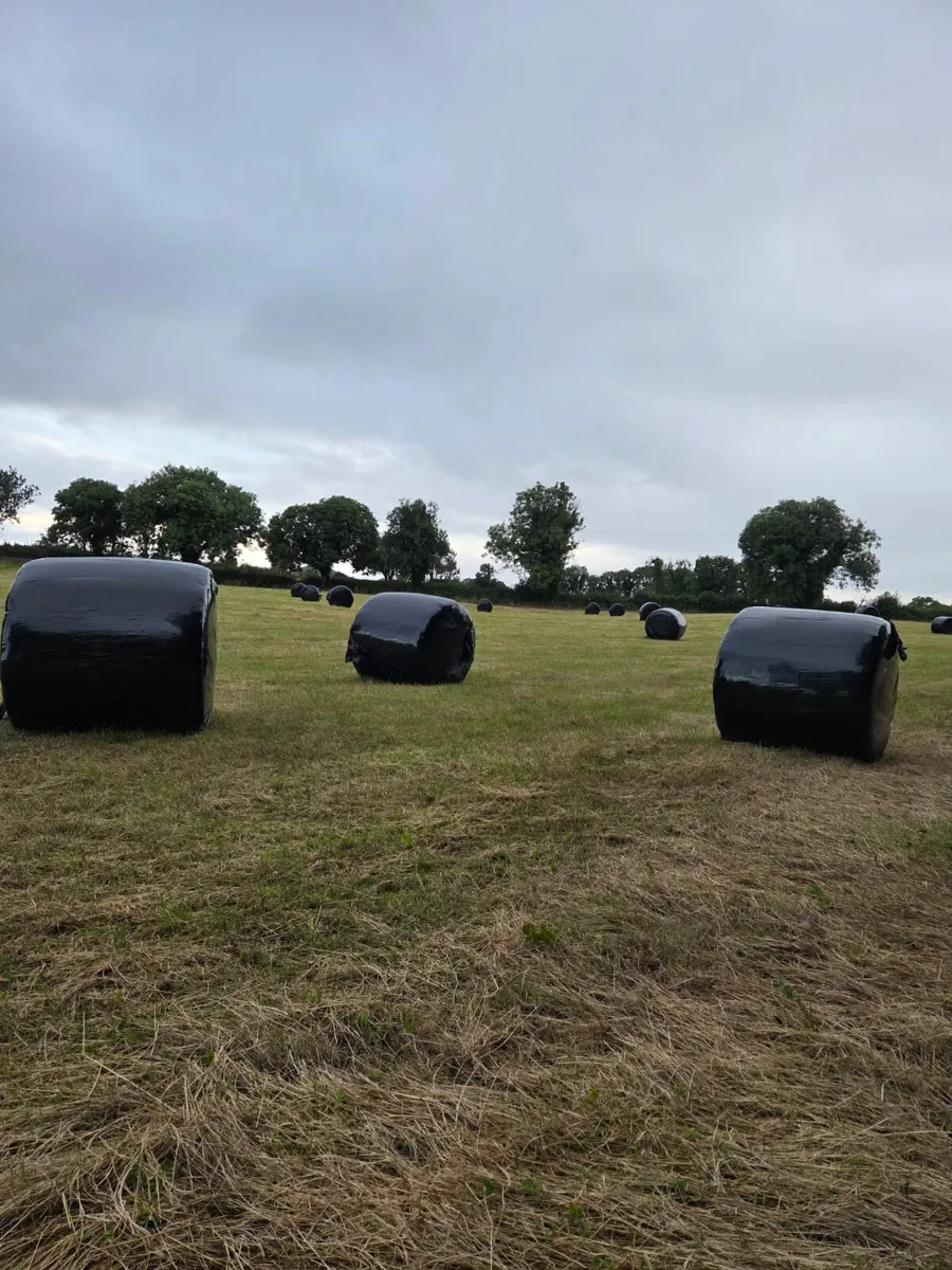 Silage Bales - Image 2