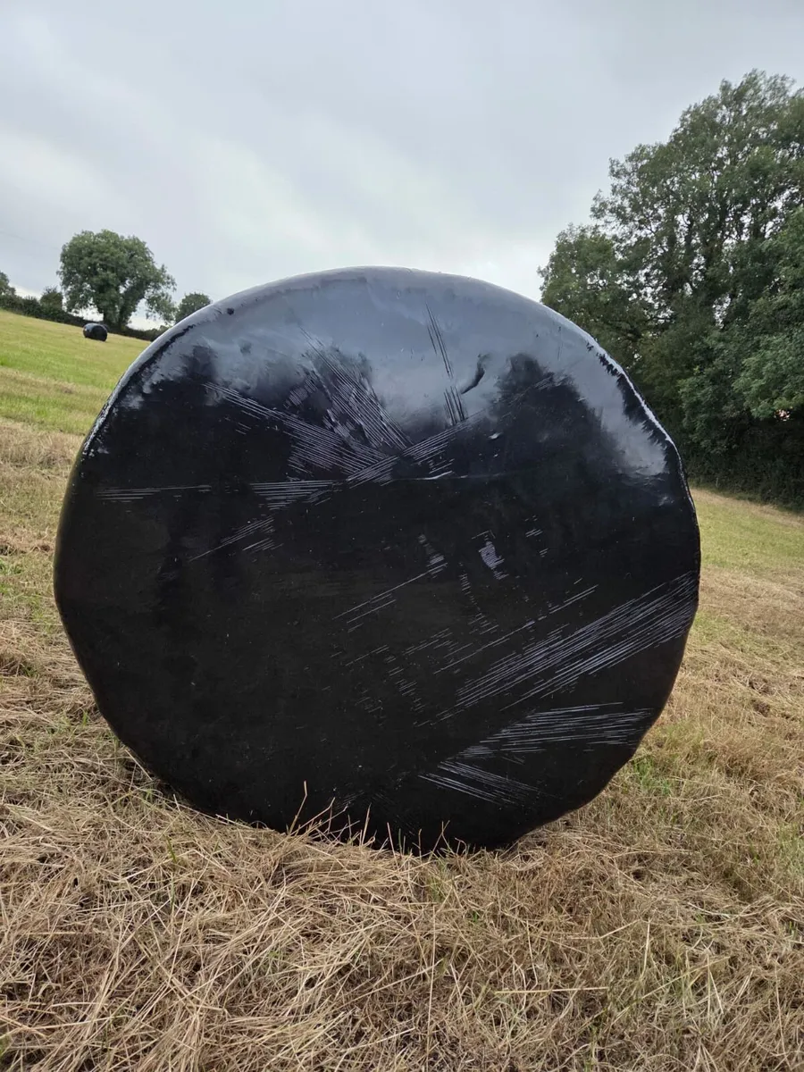 Silage Bales - Image 3