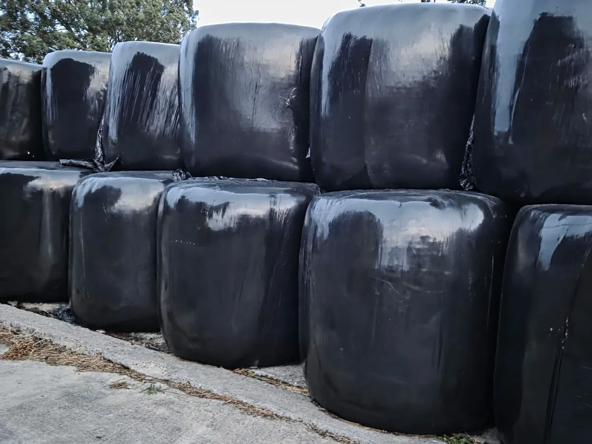 Silage Bales - Image 1