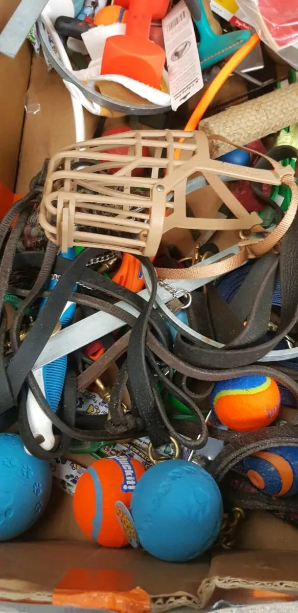 Dog training equipment/accessories - Image 1