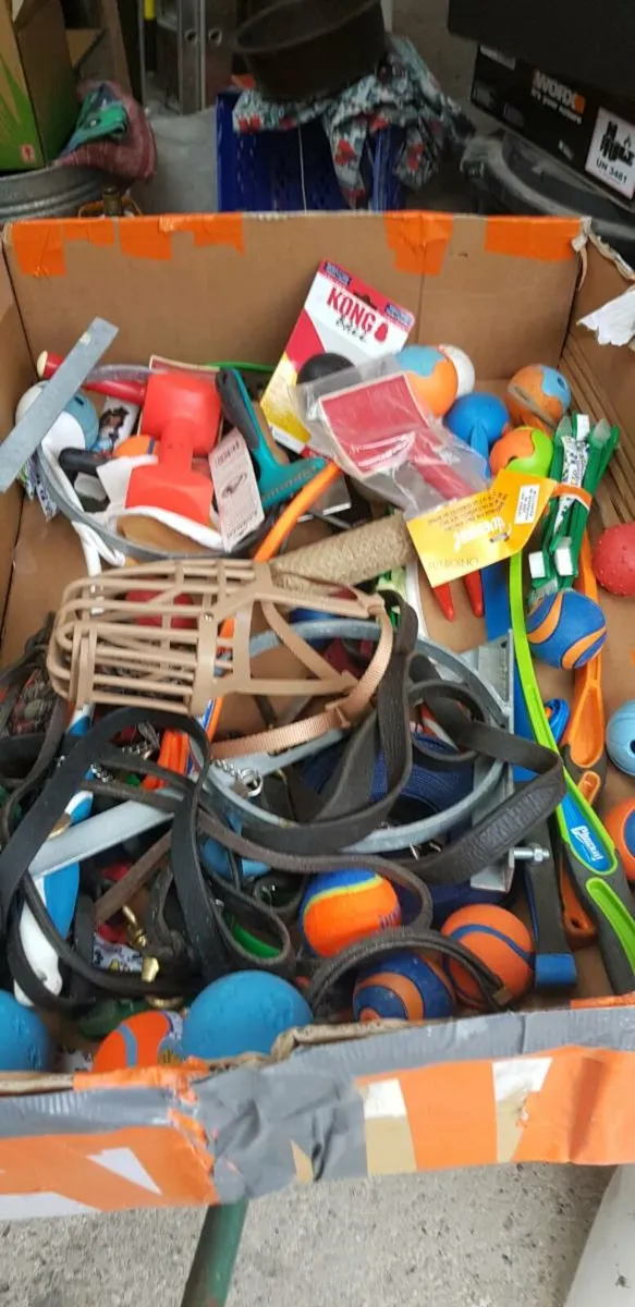 Dog training equipment/accessories - Image 3