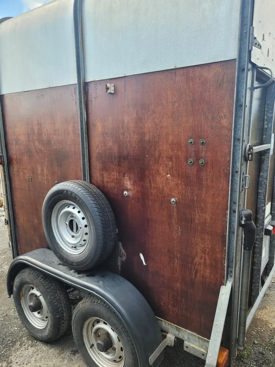 Ifor Williams HB 505 R Horse Box - Image 3