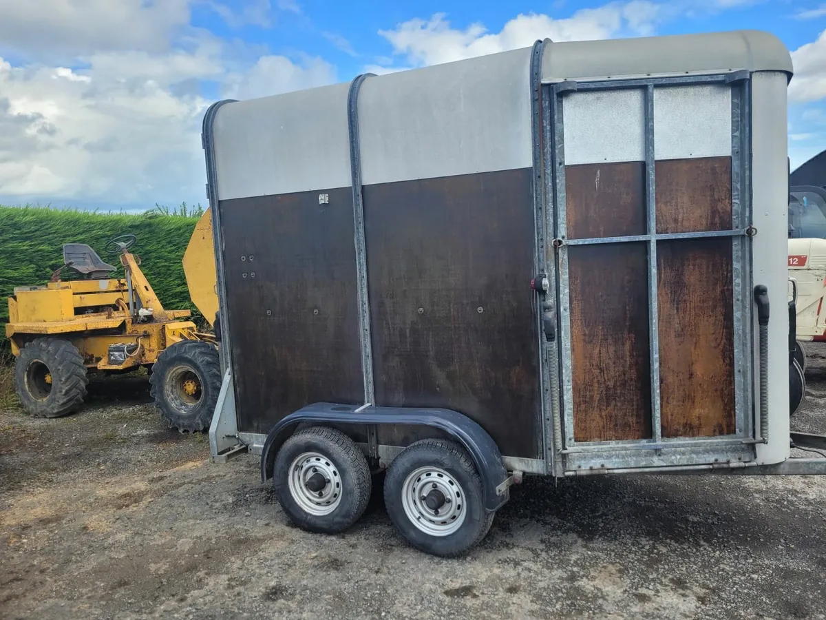 Ifor Williams HB 505 R Horse Box - Image 4
